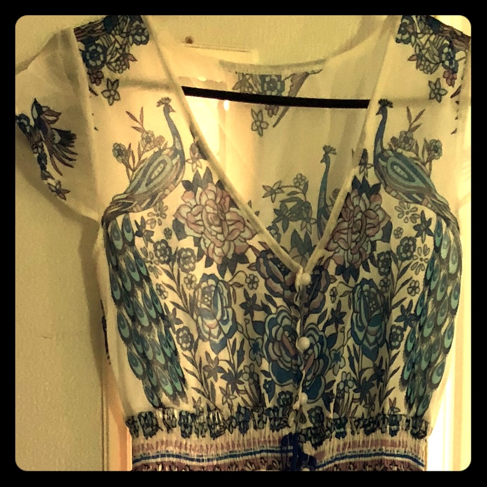 Beautiful Peacock Sheer Coverup/Dress